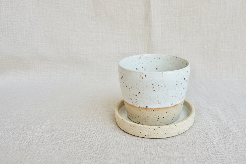 saucer